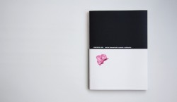 proposta20014-cat-cover